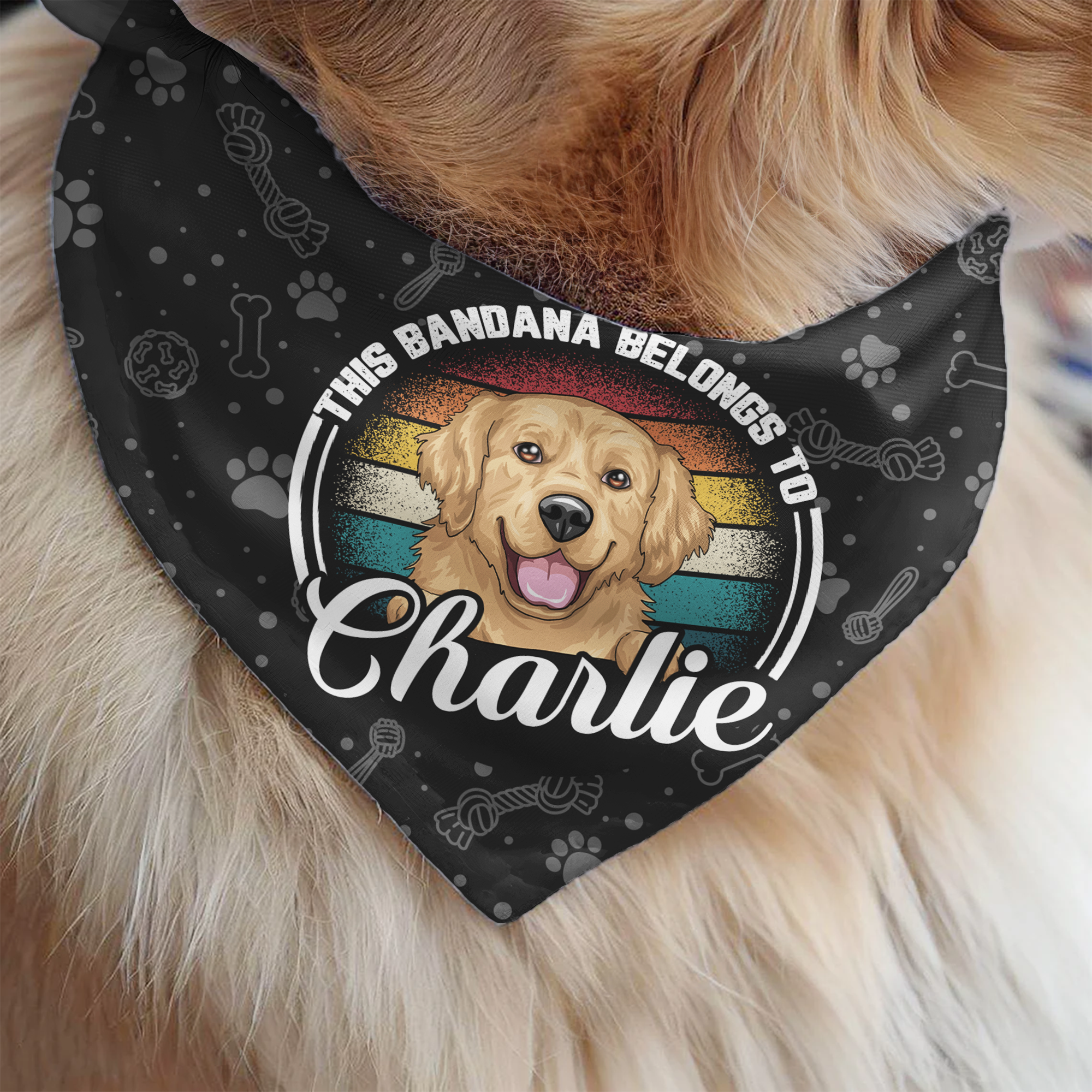 This Bandana Belongs To - Personalized Photo Bandana Collar