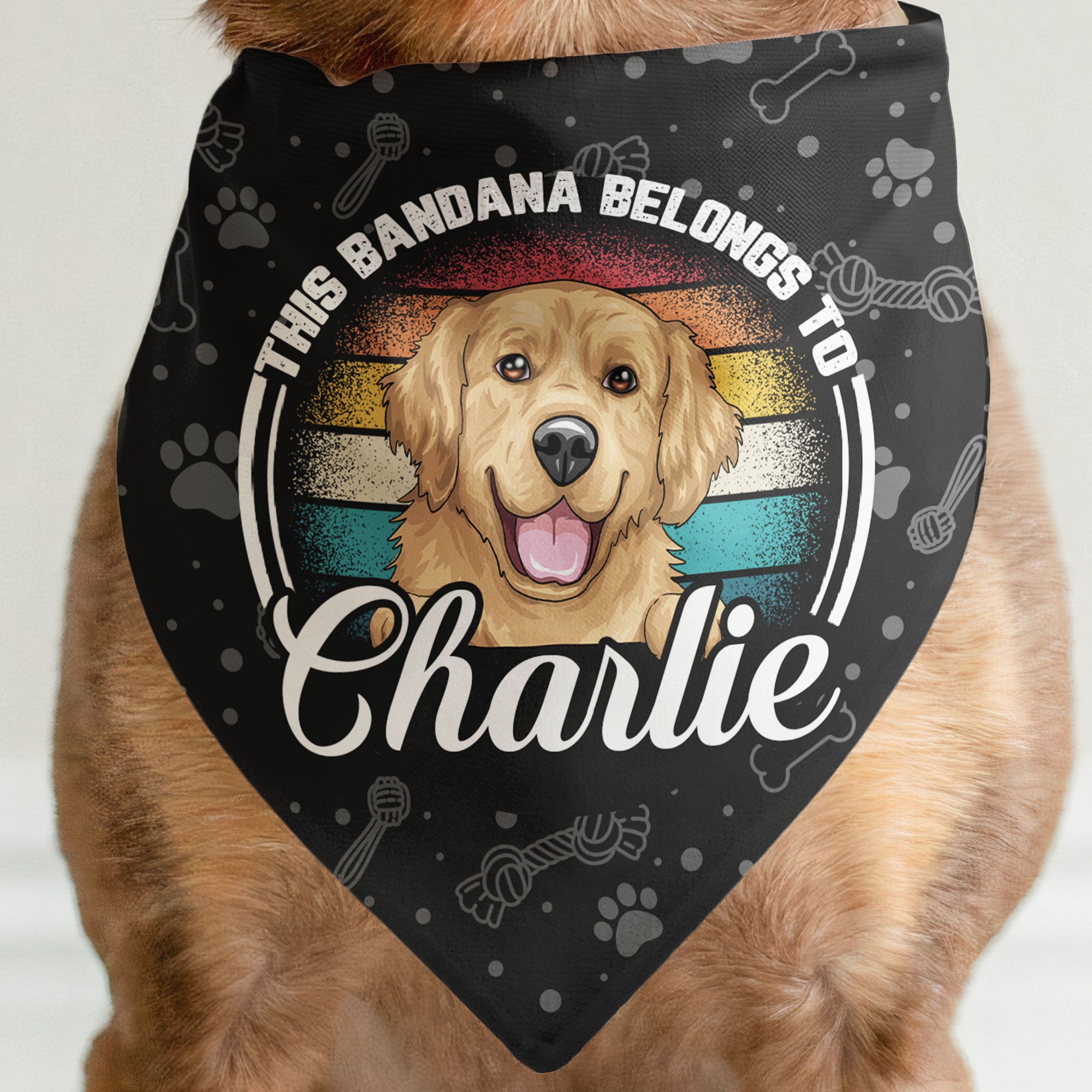 This Bandana Belongs To - Personalized Photo Bandana Collar