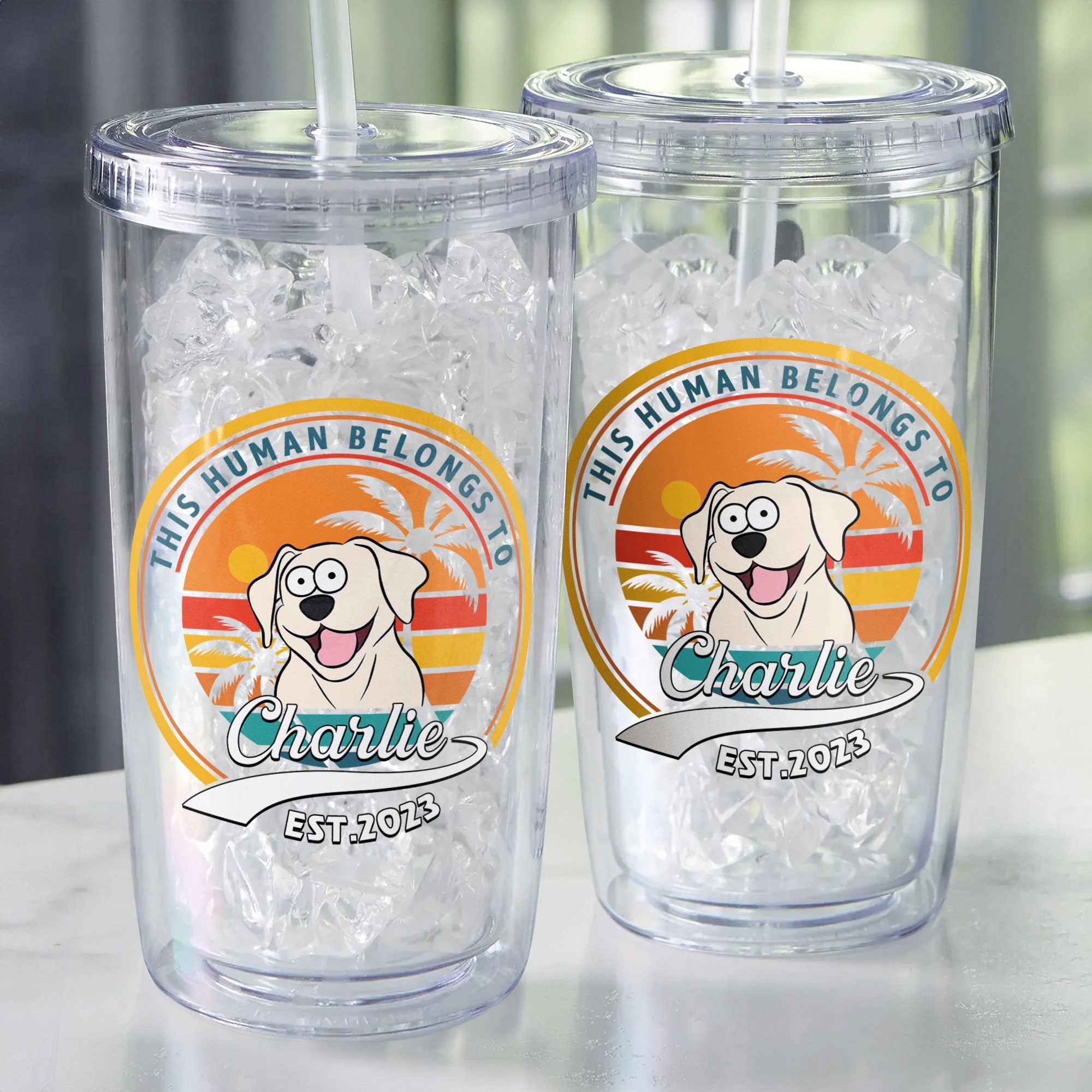 This Human Belongs To Dog - Personalized Acrylic Tumbler With Straw