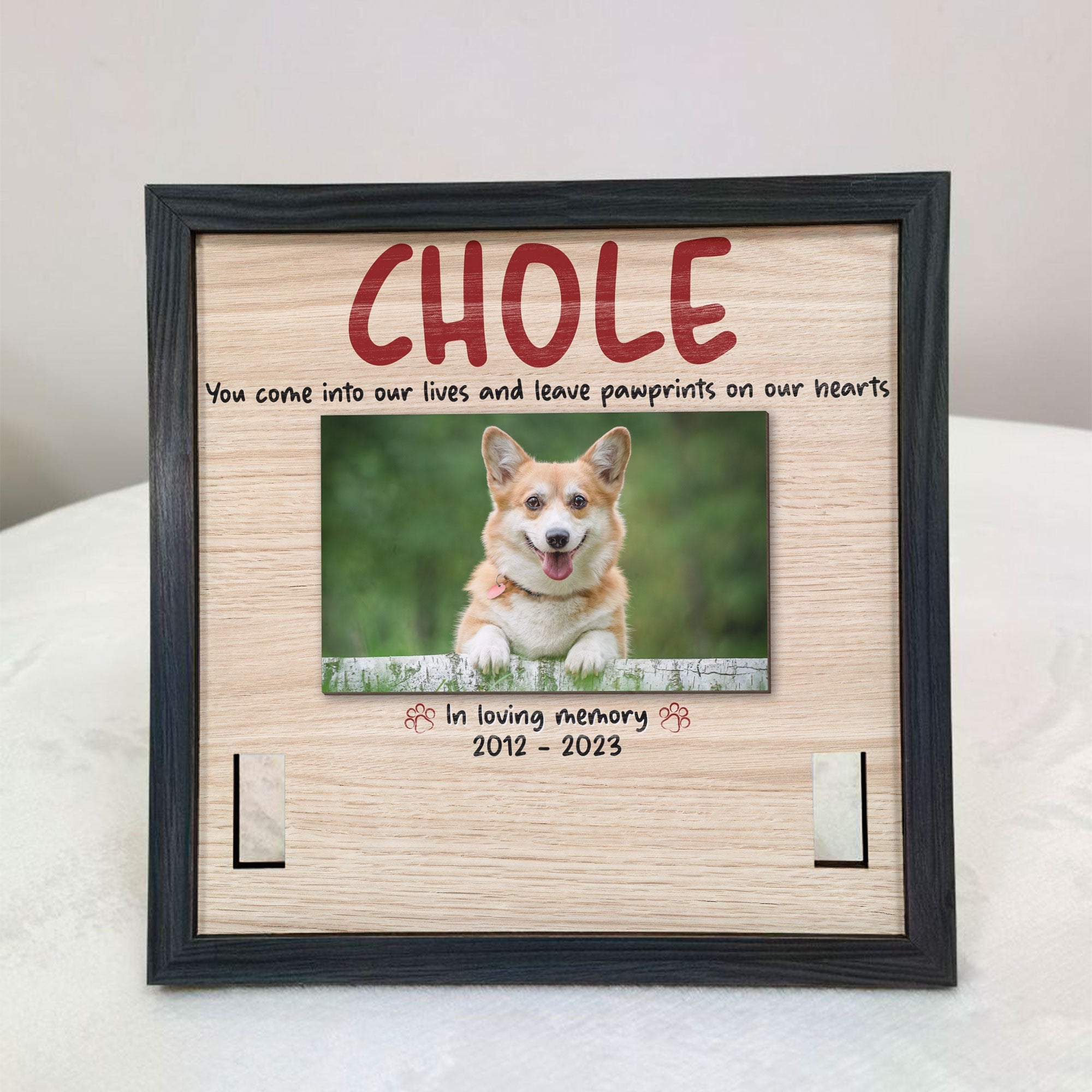 You Come Into Our Lives And Leave Pawprints - Personalized Photo Pet Loss Frame