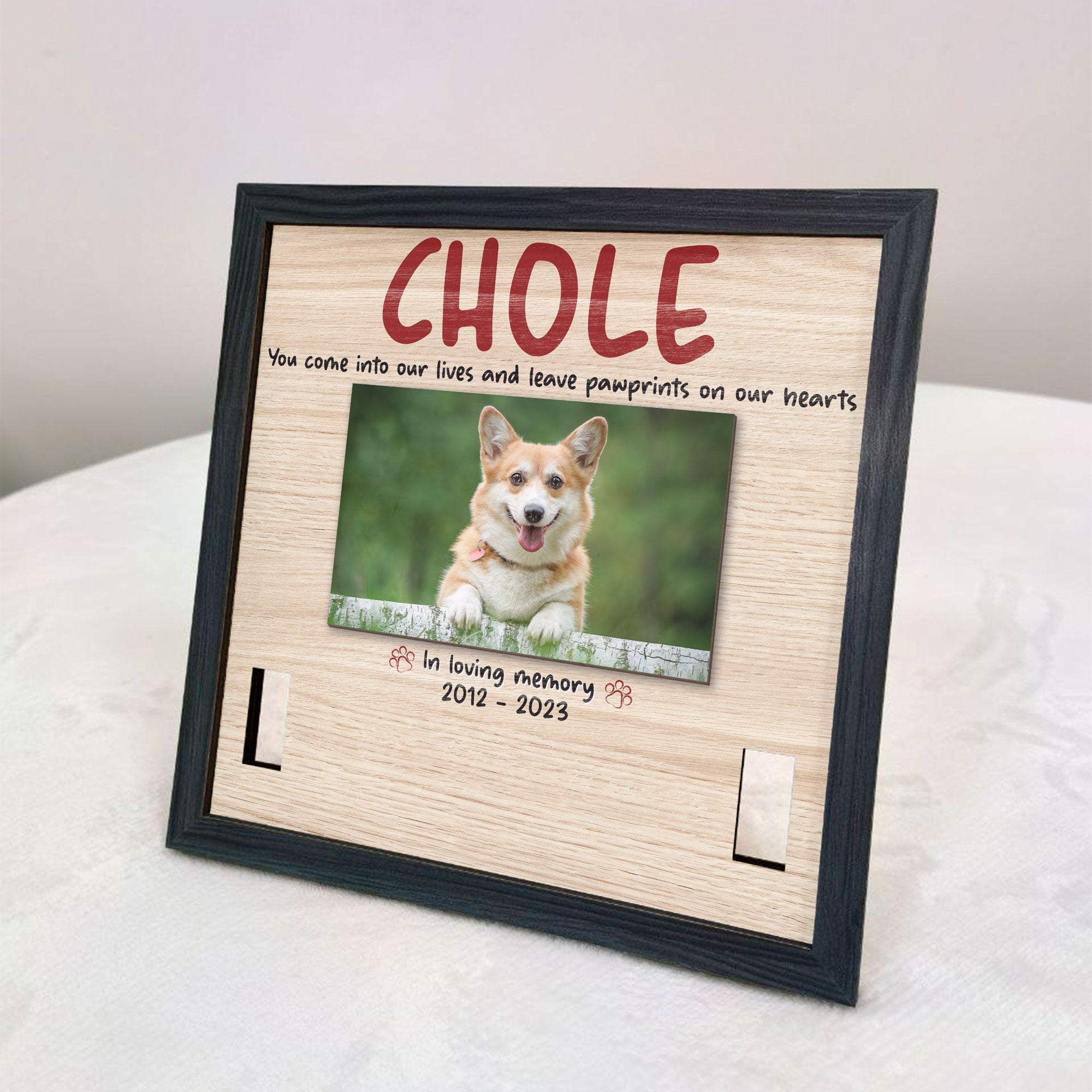 You Come Into Our Lives And Leave Pawprints - Personalized Photo Pet Loss Frame